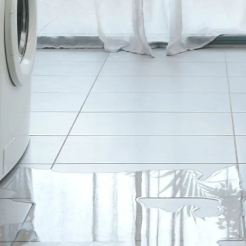 Appliance Leak Cleanup in Tega Cay, SC